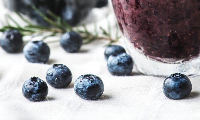 blueberries in 3 ingredient dog treats