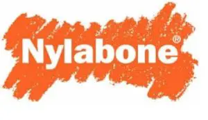 Indestructible Dog Toy Nylabone logo