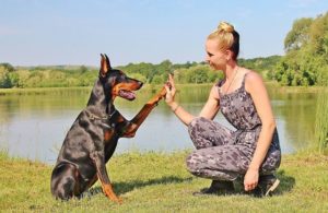 Woman and dog high five after using home remedies for fleas on dogs