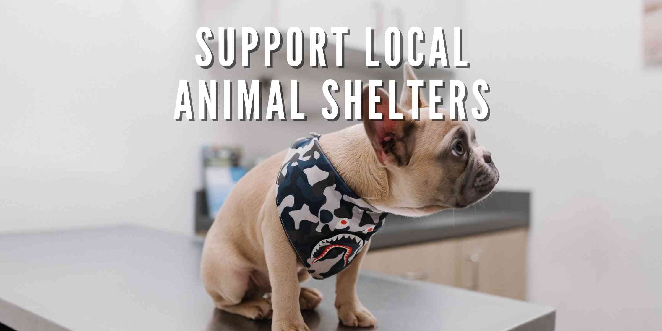 support local animal shelters